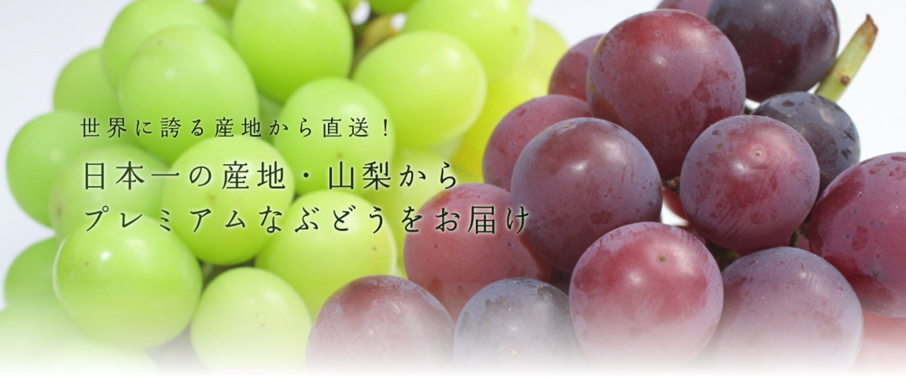 山梨ぶどう・シャインマスカット