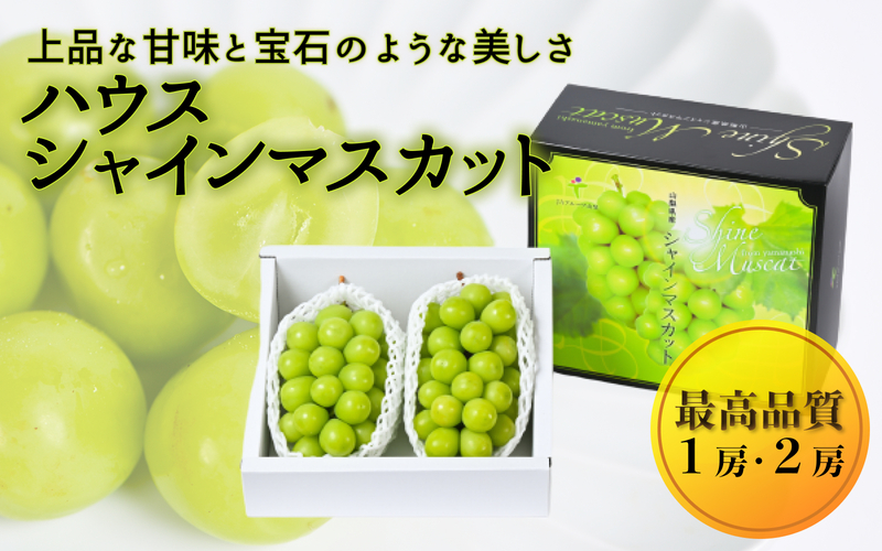 ハウス シャインマスカット（6月） | 山梨の果物ギフト