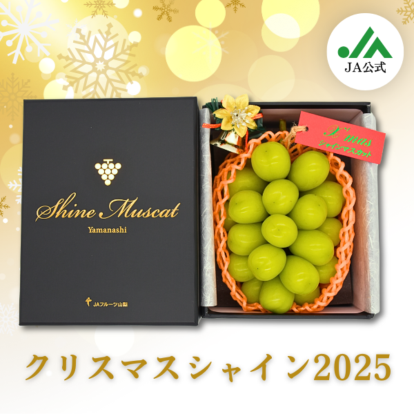 数量限定】クリスマスシャイン2025 | 山梨の果物ギフト・オンライン 