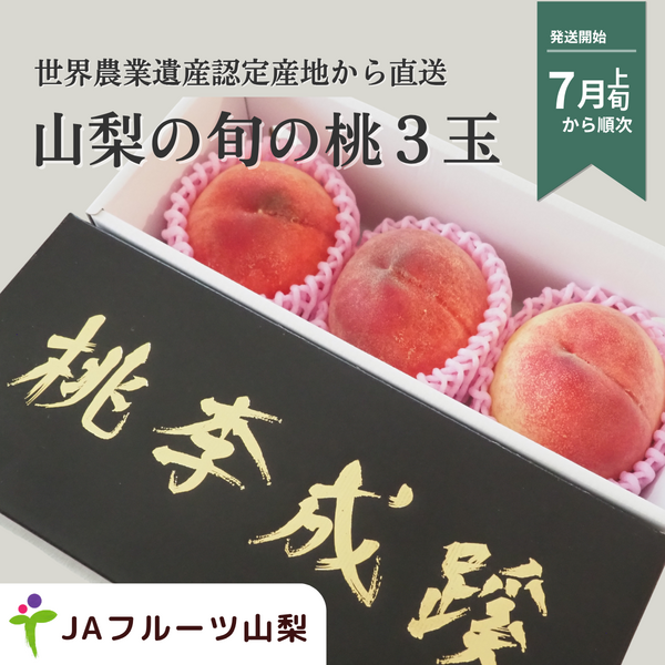 【3玉からお届けします！】JAフルーツ山梨のもも