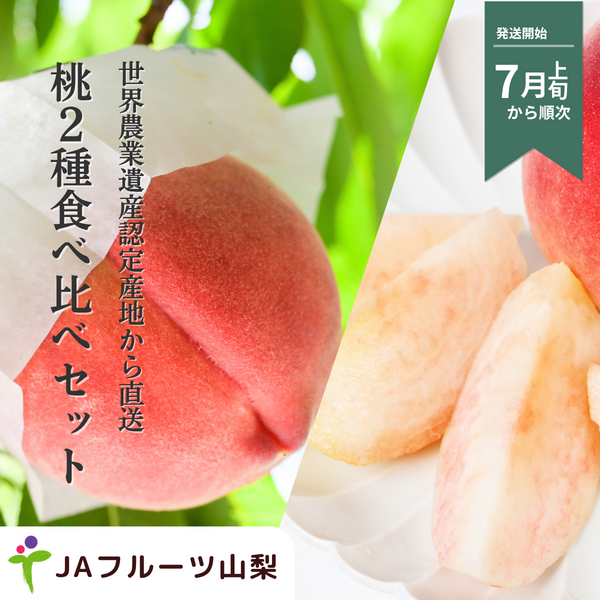 旬の桃 ２種食べ比べセット【３玉×２】