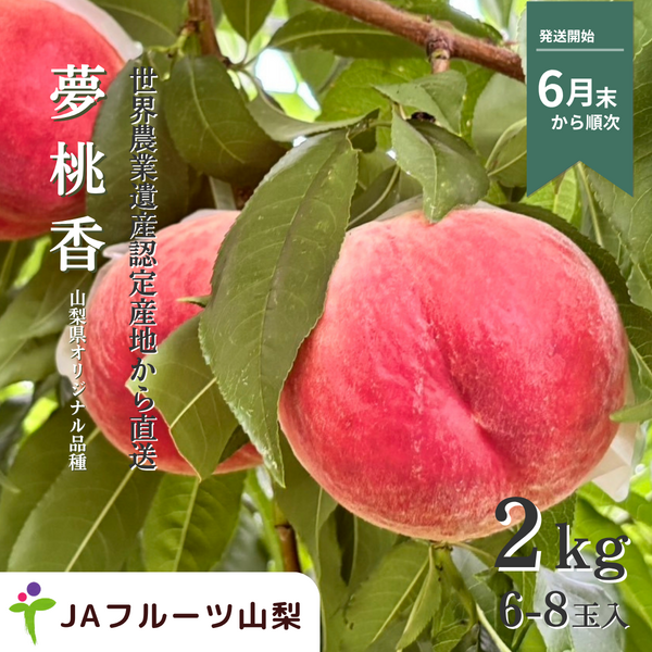 夢桃香【山梨県が14年の歳月をかけて開発した、期待の新品種】