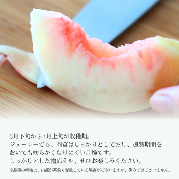 夢桃香【山梨県が14年の歳月をかけて開発した、期待の新品種】 | 山梨