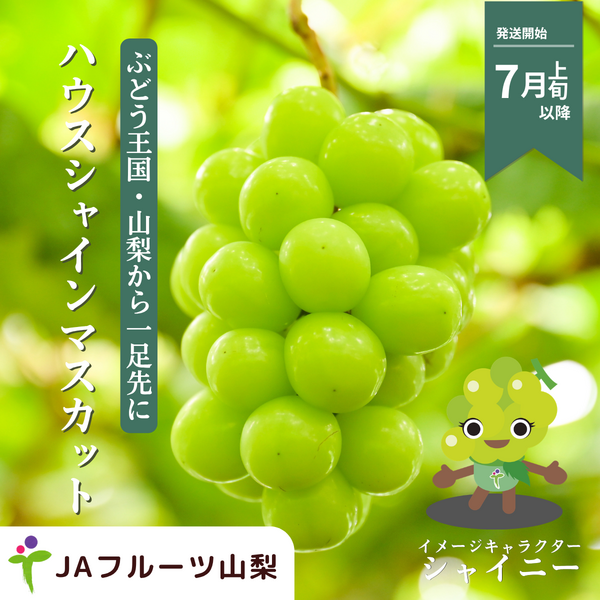 ハウス シャインマスカット【7月発送・山梨県峡東地区から直送】
