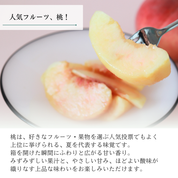 山梨のもも 1.5kg【5〜6玉】☆彡糖度センサー選果機で選別した特秀品