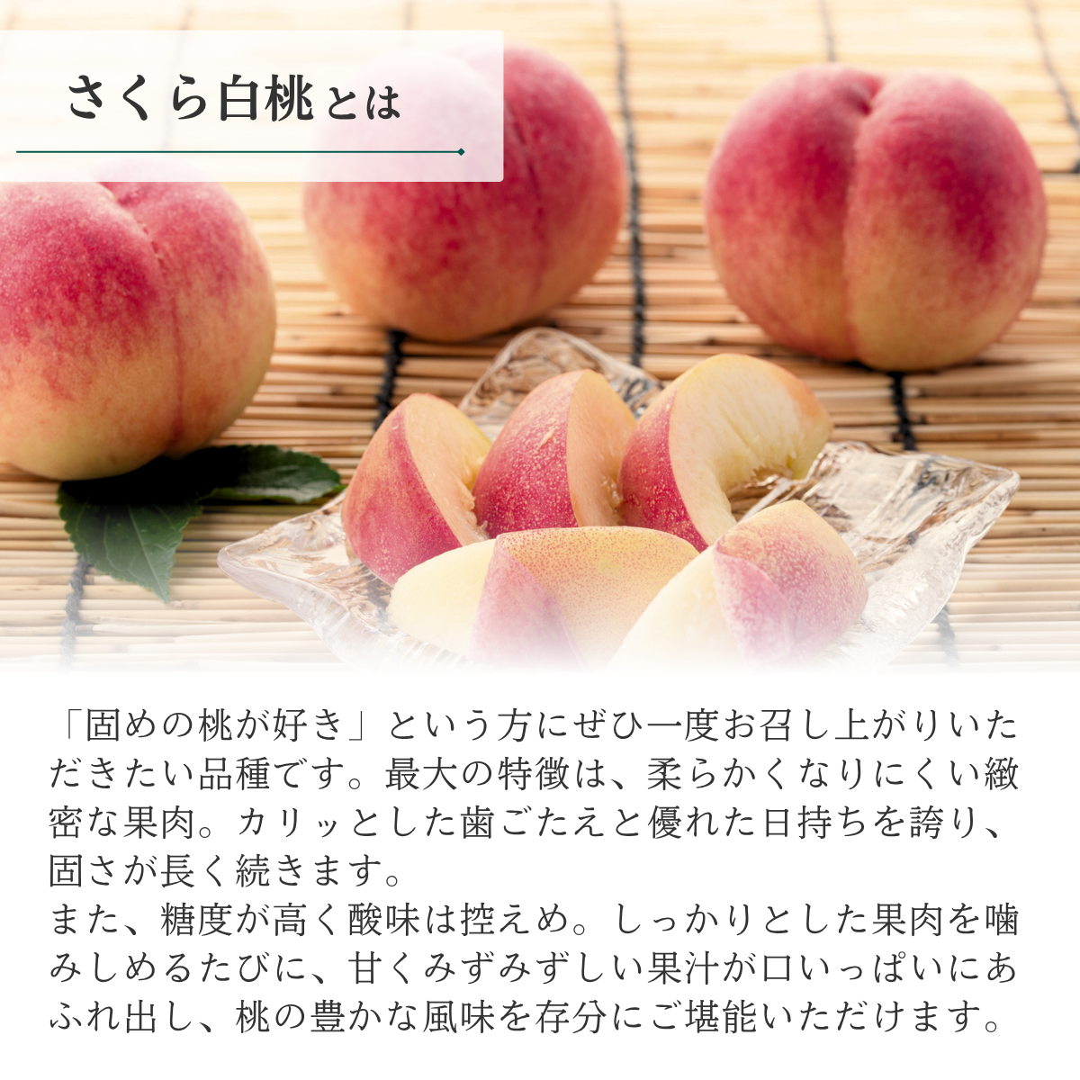 さくら白桃　特秀品【ギフト品質の桃】世界農業遺産認定の山梨県甲府盆地峡東地区から直送の商品画像 3