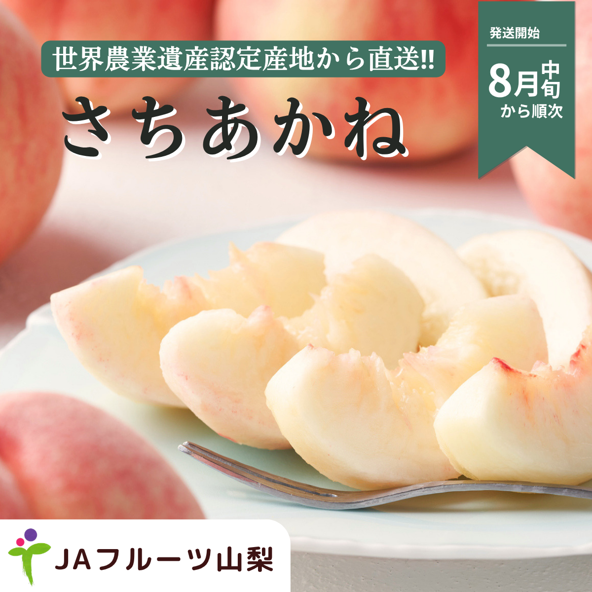 幸茜（さちあかね）特秀品【ギフト品質の桃】世界農業遺産認定の山梨県甲府盆地峡東地区から直送の商品画像 1