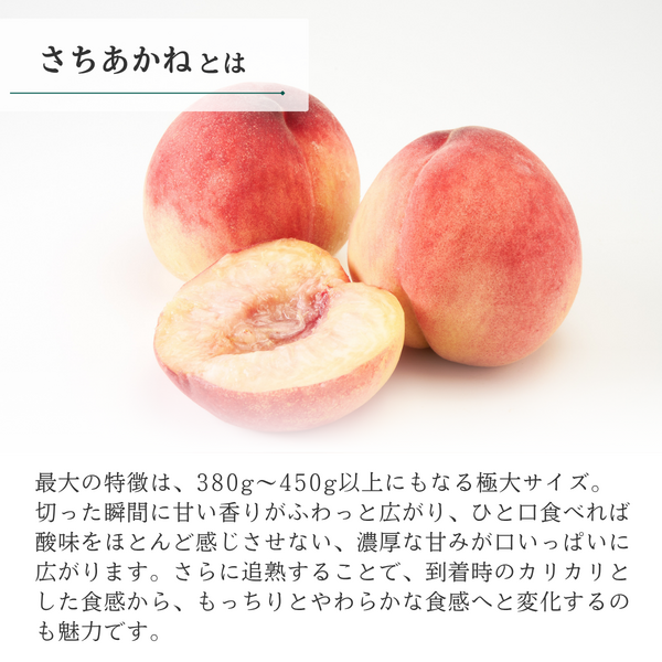 幸茜（さちあかね）特秀品【ギフト品質の桃】世界農業遺産認定の山梨県甲府盆地峡東地区から直送の商品画像 3