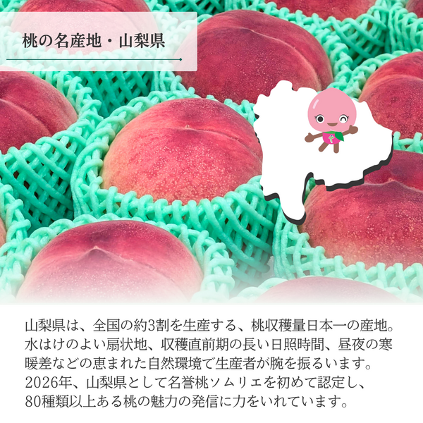 幸茜（さちあかね）特秀品【ギフト品質の桃】世界農業遺産認定の山梨県甲府盆地峡東地区から直送の商品画像 5
