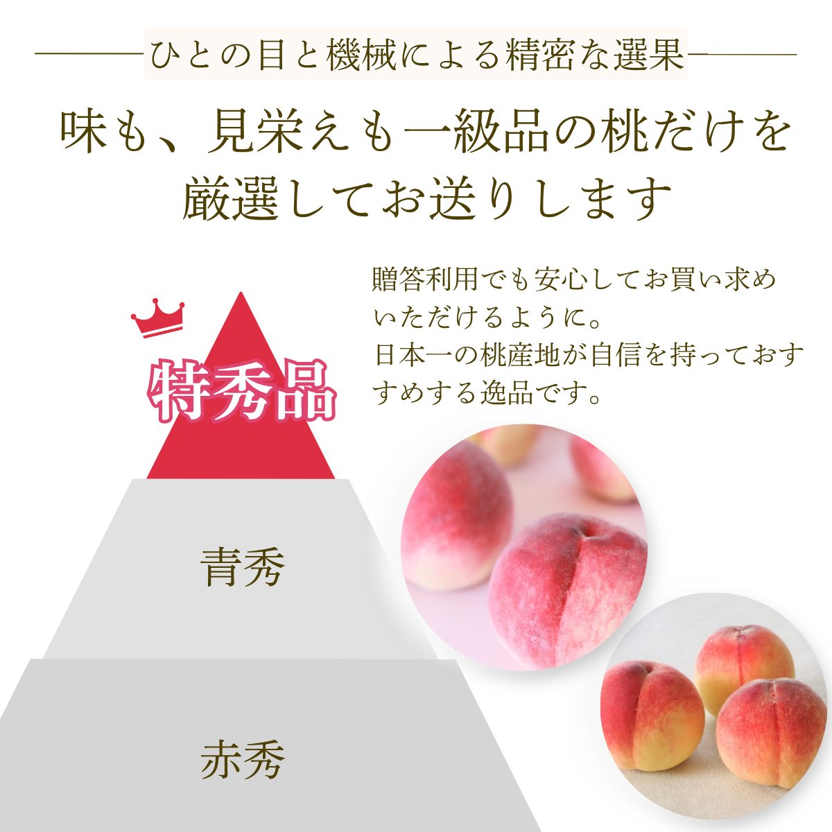さくら白桃　特秀品【ギフト品質の桃】世界農業遺産認定の山梨県甲府盆地峡東地区から直送の商品画像 9