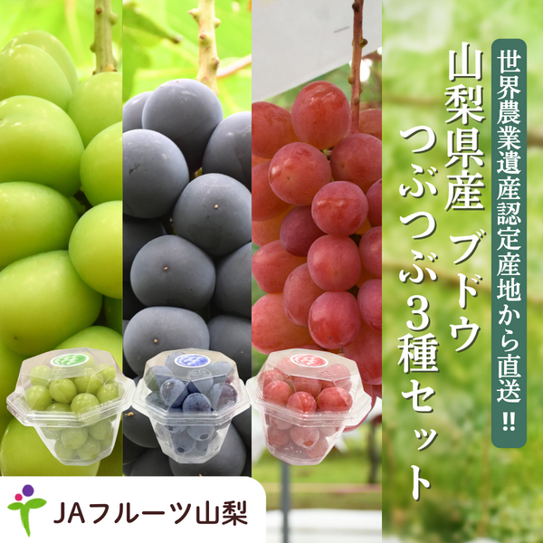 ブドウ粒々セット【山梨ぶどうの３色セット】の商品画像 1