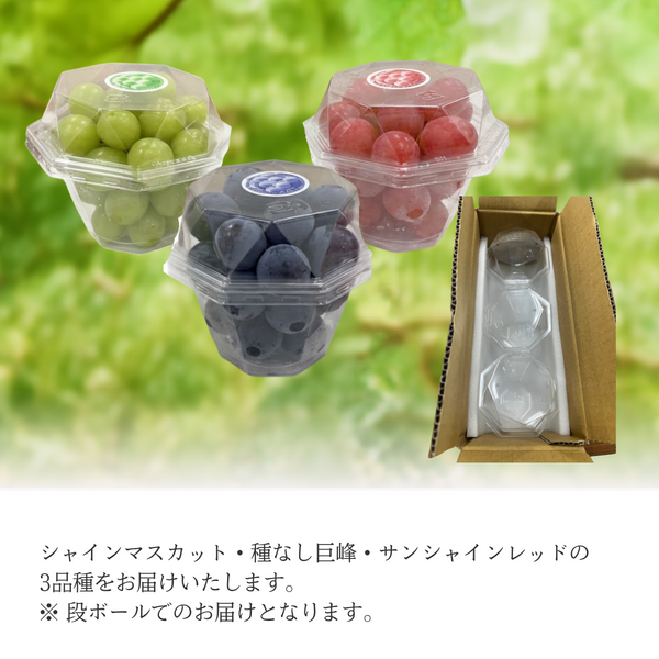 ブドウ粒々セット【山梨ぶどうの３色セット】の商品画像 3