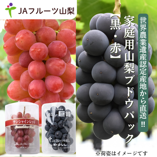 【ご家庭用】山梨ぶどうセット　黒・赤【巨峰×サンシャインレッド】の商品画像 1