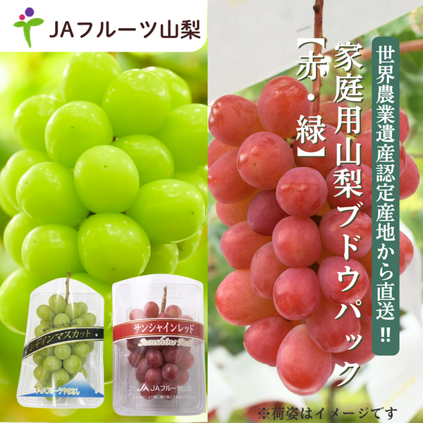 【ご家庭用】山梨ぶどうセット　赤・緑【サンシャインレッド×シャインマスカット】の商品画像 1