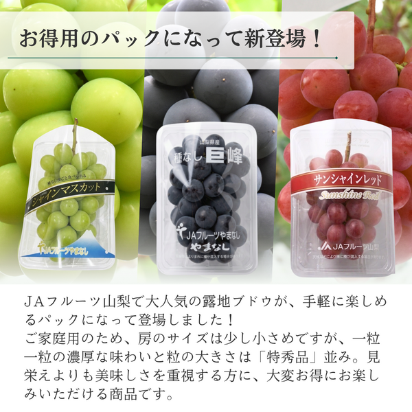 【ご家庭用】山梨ぶどうセット　赤・緑【サンシャインレッド×シャインマスカット】の商品画像 3