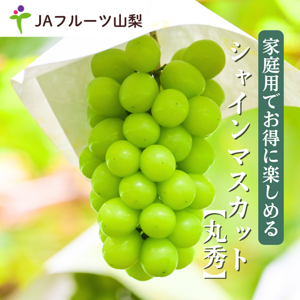 クイーンニーナ【幻の高級 種無しぶどう】 | 山梨の果物ギフト
