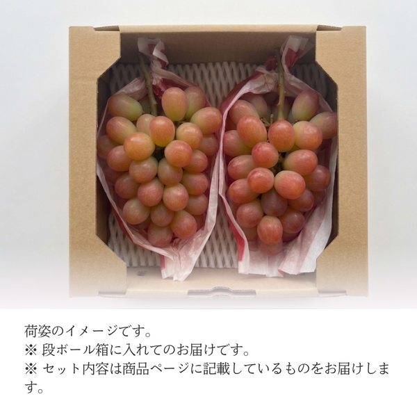 サンシャインレッド【丸秀品】2房入の商品画像 4