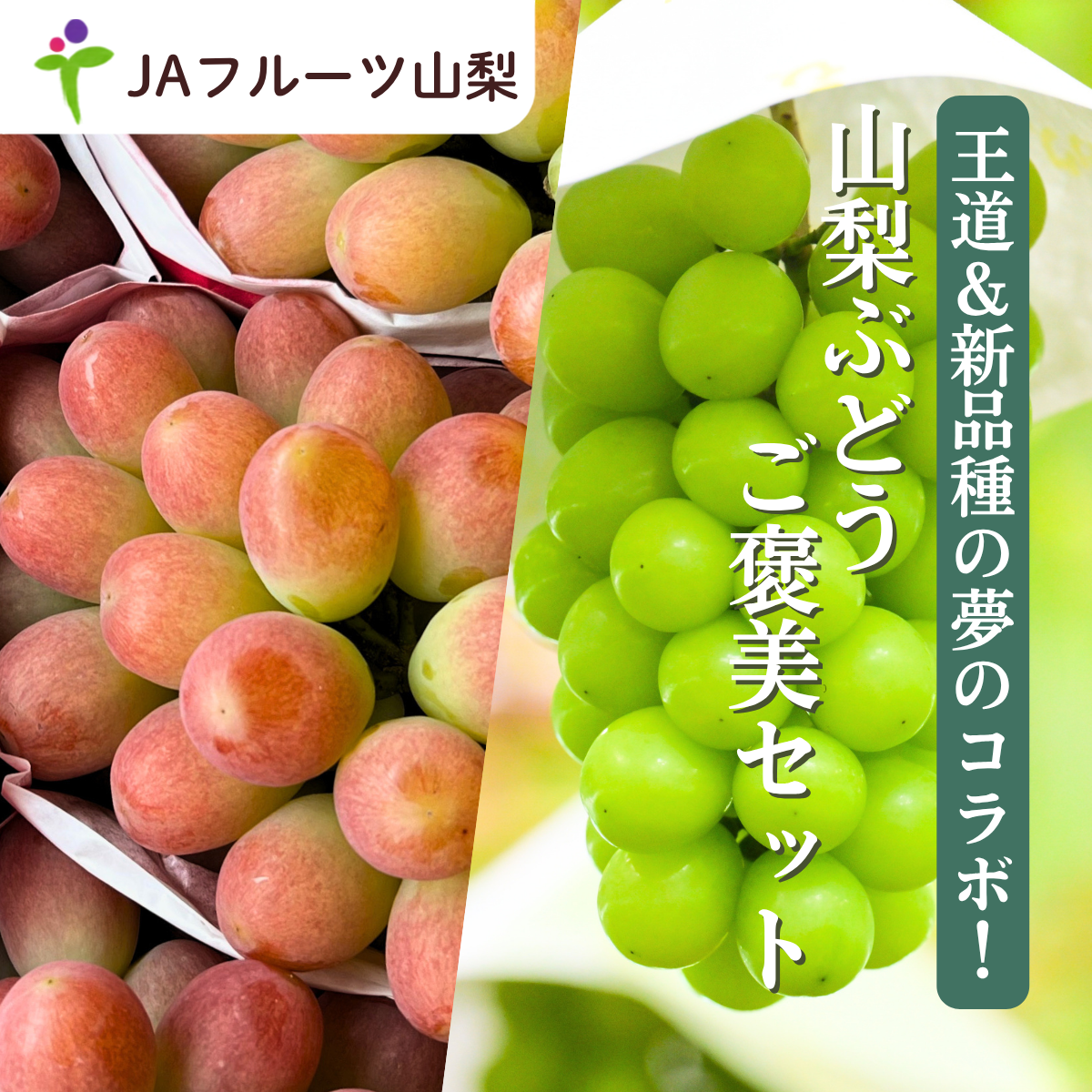 山梨ぶどうご褒美セット【シャインマスカット×サンシャインレッド】丸秀品 2房入の商品画像 1