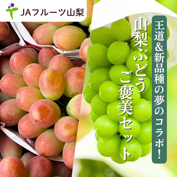 山梨ぶどうご褒美セット【シャインマスカット×サンシャインレッド】丸秀品 2房入