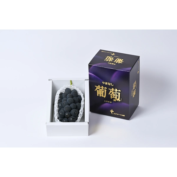 ハウス 種なし巨峰（6月）の商品画像 4