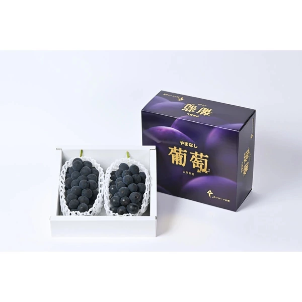 ハウス 種なしピオーネ（6月） | 山梨の果物ギフト・オンライン直売