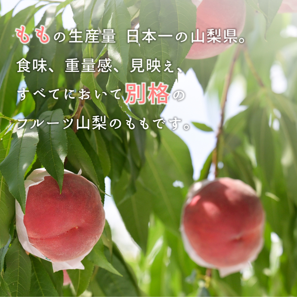 【家庭用】JAフルーツ山梨　旬のももの商品画像 3