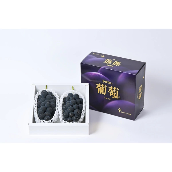 種なしピオーネ | 山梨の果物ギフト・オンライン直売なら、産地直送の