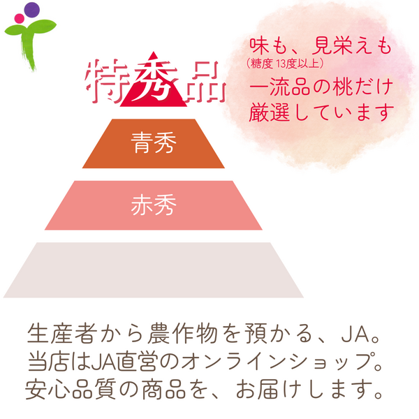 square_中晩生.png
