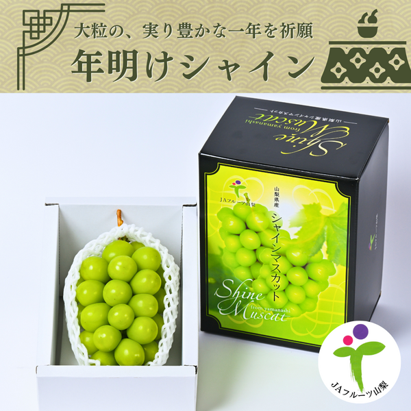 【夏季限定】No.23 2kg　シャインマスカット　摘みたて　産地直送　山梨県 0000000010322_LhJkVlu.jpg